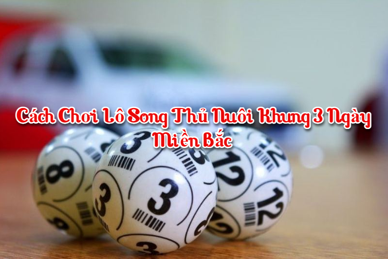 Cách chơi lô song thủ nuôi khung 3 ngày miền bắc 