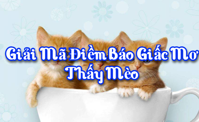 Giải mã điềm báo giấc mơ thấy mèo