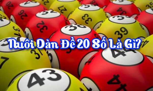 Nuôi dàn đề 20 số là gì? 