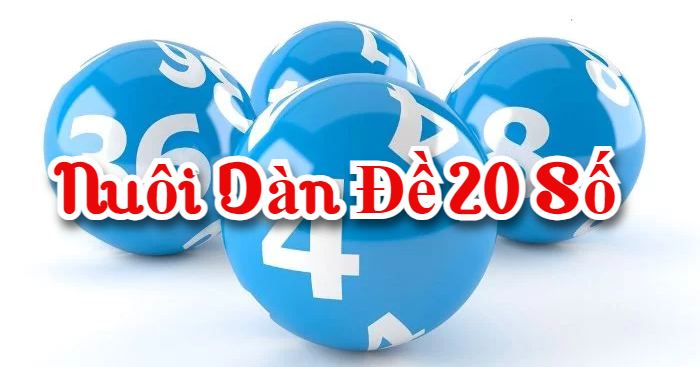 Nuôi dàn đề 20 số