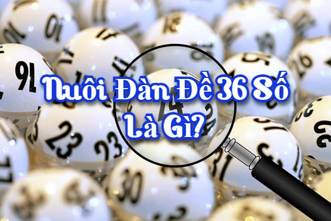 Nuôi dàn đề 36 số là gì?