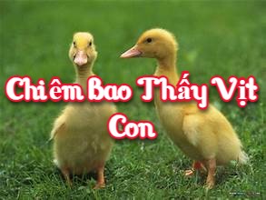 Chiêm bao thấy vịt con