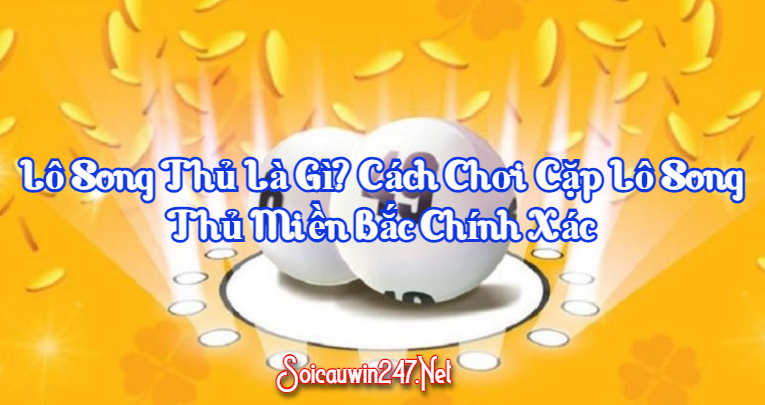 Lô Song Thủ Là Gì? Cách Chơi Cặp Lô Song Thủ Miền Bắc Chính Xác