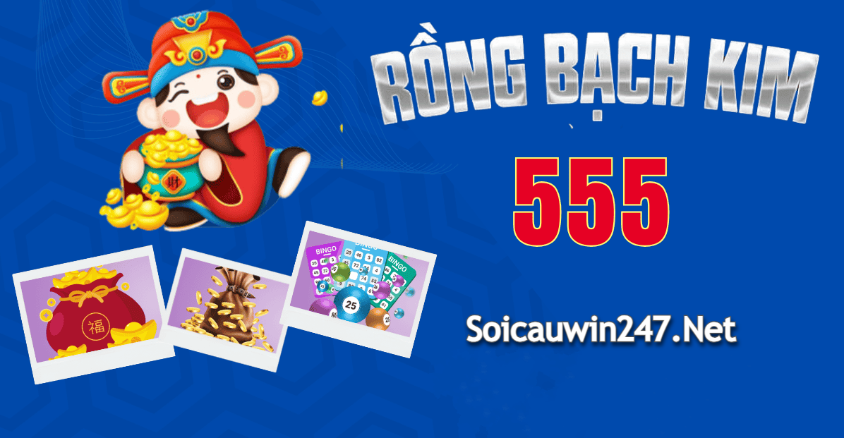 Rồng bạch kim 555 